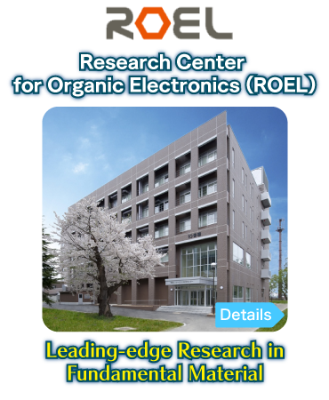 Research Center for Organic Electronics (ROEL)